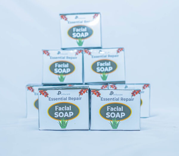 Essential Repair Facial Soap